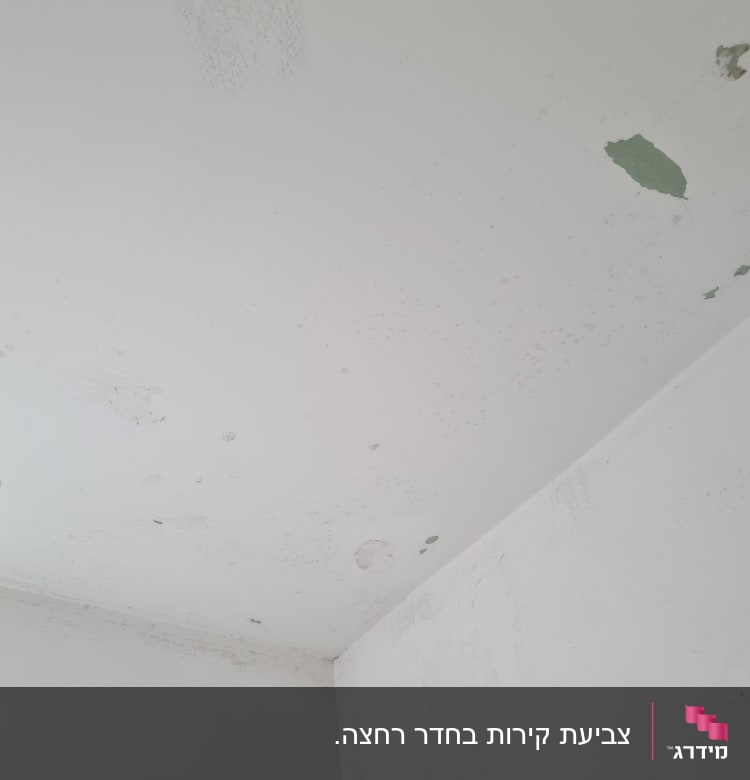 תקרה עם קילופי צבע וכתמים